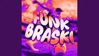 FUNK BRASKI