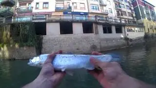 Truchas del Agauntza