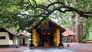 കോഴിക്കോട് കാടിന് നടുവില്&zwj; ഒരു അമ്പലം #kozhikode #temple#forest #onedaytrip#travel #mystery#peaceful