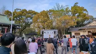 Музыка Нобуо Ямады (NoB) встречается с цветением вишни в парке Суминоэ в Осаке #japan