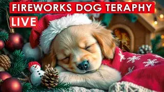 LIVE Dog Anxiety Music &mdash; Soothing Tones To Ease Fear & Tension