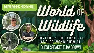 [WOW] Full World of Wildlife Livestream [November25]
