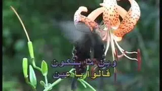 Arabic Karaoke   Elissa   Chafouna Tnayn