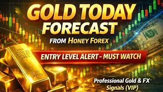 Gold XAUUSD Today Analysis &ndash; 03 Feb 2026 | Key Levels & Next Target | Honey Forex