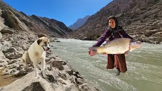🌊 