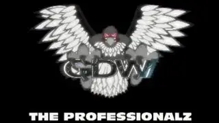 GDW THE PROFESSIONALZ