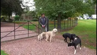 Richard Hammond Walking His Dogs On His Estate - Top Gear/Grand Tour