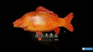 Russian Fishing 4 | Trophy Red Starvas Carp - Scaly | The Amber Lake