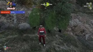 PLANTANDO SEMENTES! METROVILLE GTA RP