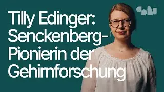 Tilly Edinger: Senckenberg-Pionierin der Gehirnforschung