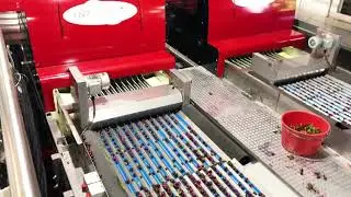 Red Pearl Systems Full Line 2-12-2021 PearlSort