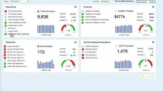 Dimensional Insight Healthcare -1 Minute Demo