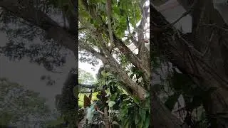Xavier Estates P4 Ridge Lot | CDO Lot for Sale