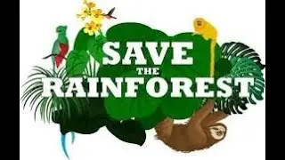 The Amazon Project - Help Save The Rainforests