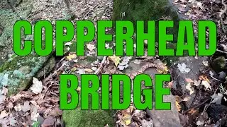 Copperhead Bridge & Tons of Turtles - Rebman Lane Bushwhack Series