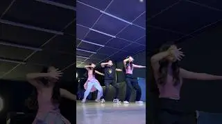 Afghan Jalebi | Dance video | #afghanjalebi #dancereels #dancecover #reels #gangsofdancer
