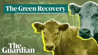 The Green Recovery: can I still eat meat if I care about the environment?