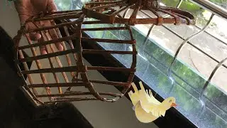 News paper bird cage at home