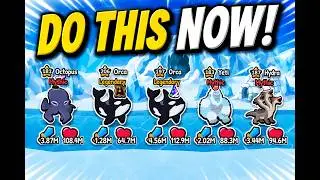 Battle pets ( Op pets ) || Roblox