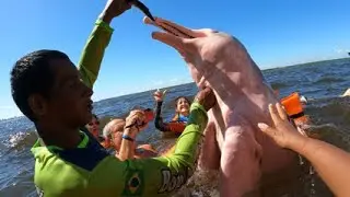 Amazon River Cruise - Swimming with Pink Dolphins