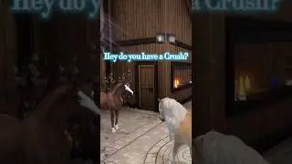 Wer ist euer Crush? 😍 Star Stable online #SSO #CRUSH #starstable #starstableonline