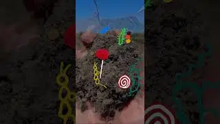 Doug's Soiled Shorts: Soil Structure
