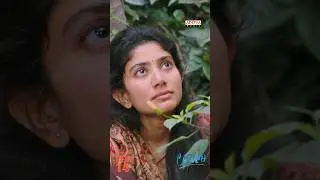 Pure Soul. Pure Love. Pure Music.❤️ #NeeChitramChoosi Song from #LoveStory Movie | #Shorts