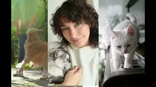 Tito Boo Shopify Banner Video