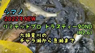 鮎釣り  九頭竜川の人気ポイントでチャラ瀬から急瀬までオールラウンドに釣る。