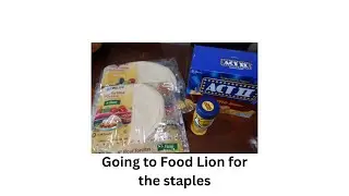 Quick Food Lion Trip #grocerysales #foodlion #largefamily #familyofeight #sixkids #momofsix #grocery