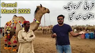 Camel Mandi 2022 Karachi Sohrab Goth | Sohrab Goth Mandi 2022 | Bakra Eid 2022 | Cow Mandi 2022