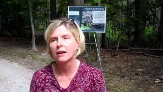 What are people saying about Gully Brook Park