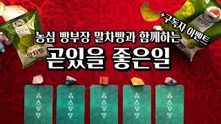 [타로] 곧있을 좋은일 💖 빵부장 구독자 이벤트