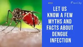 Dengue Infection | | AMMA LABS | | AMMA AROGYADHAM | | AMMA MEDMART