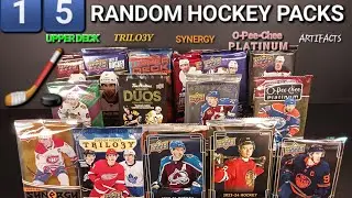 🚨 RIPPING 15 RANDOM HOBBY PACKS OF HOCKEY CARDS! UPPER DECK SERIES 1 & 2, EXTENDED, TRILOGY, SYNERGY
