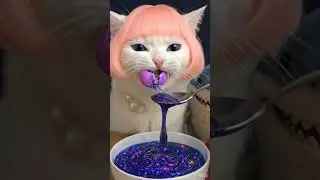😸 Cat and Dog ASMR FOOD challenge😸eating sounds🎧 |  #shorts #asmr #cat #dog