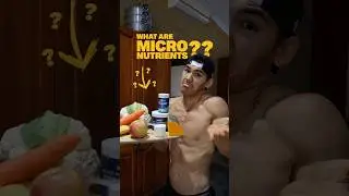 what are MICRONUTRIENTS?