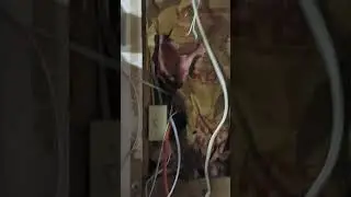 ms5ud help