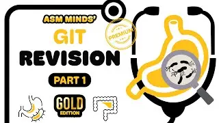 GIT IM Gold Revision part 1