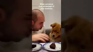 Dog's Reaction when someone steal its food #angrydog #petlover #trending #reels #viral