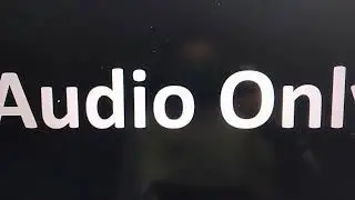 Skeleton Dinosaur Rhamphorhynchus Flying Finger Family (Audio Reuploaded) 