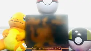 Pokemon Champions Path ERROR Elite Trainer Box One of Kind RARE