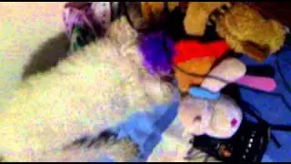 16022011009
