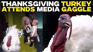 LIVE: Presidential Turkey Attends White House Press Gaggle Ahead of Pardon Ceremony | US News
