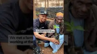 Farmcrowdy Visits Mambila Beverages Tea Farm