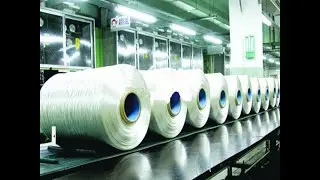 Polyester Filament Yarn