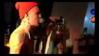 Yelawolf - Pop the Trunk live - Phatkaps