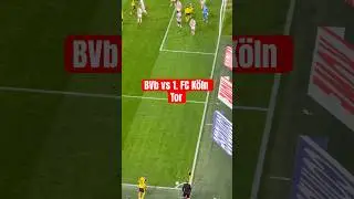 BVB Dortmund vs 1. FC K&ouml;ln Tor #bvb #bvbdortmund #fck&ouml;ln #bundesliga #borussiadortmund