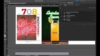 viingx InDesign Integration