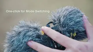Introducing 7RYMS MinBo M2, the Two-way Bi-directional Mini Shotgun Microphone